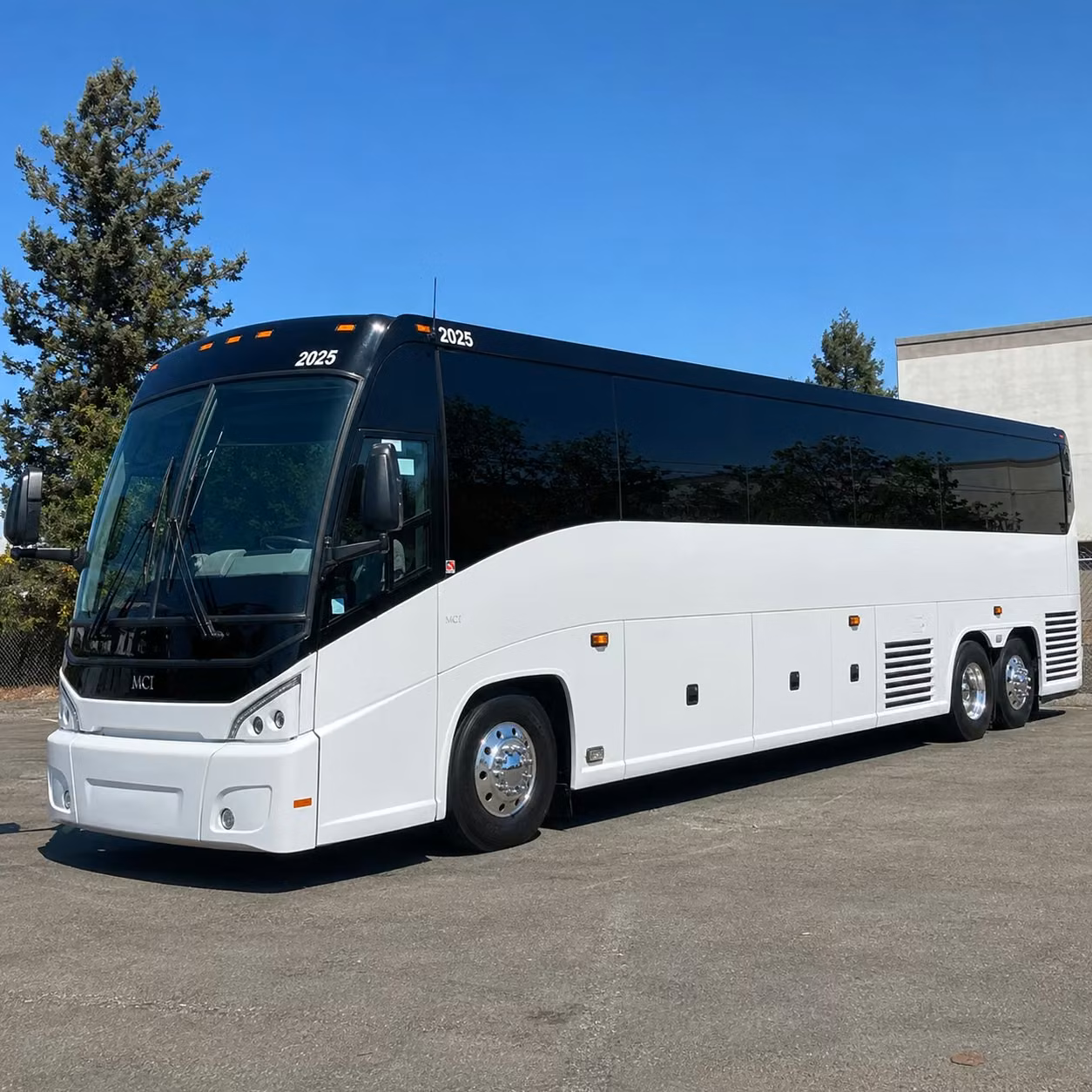56 passenger charter bus