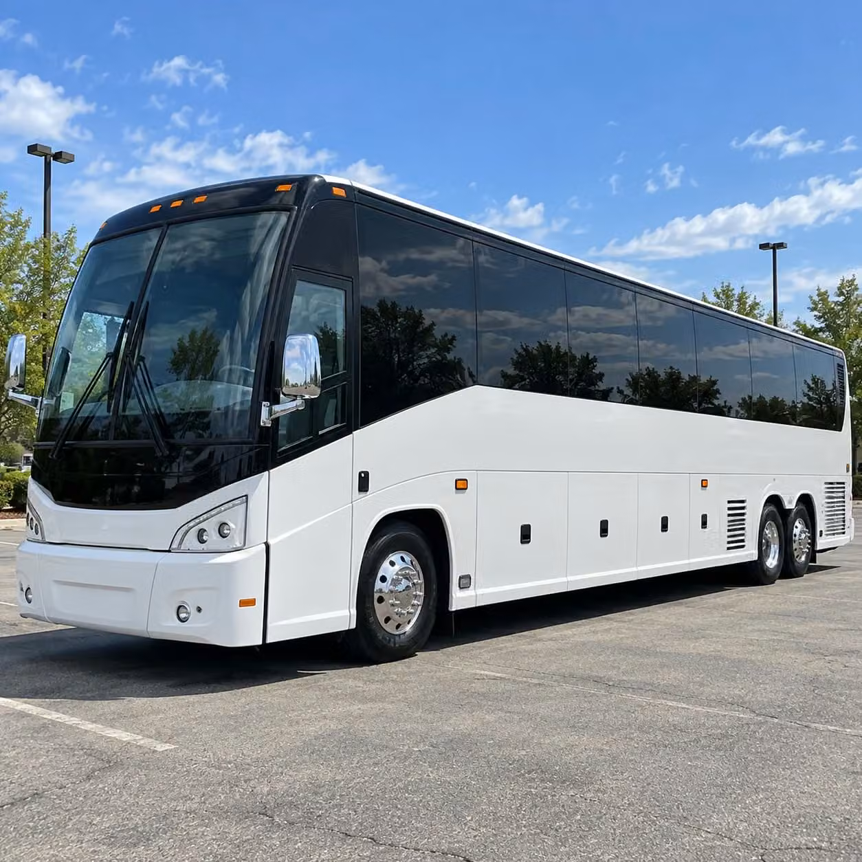 one quick form books prom night transportation across all of chesapeake